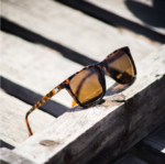 Fast Lanes Sunglasses (3)