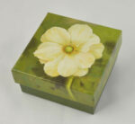 Gift Enclosure Boxed Card Set - Anemone On Green 1