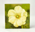 Gift Enclosure Boxed Card Set - Anemone On Green 2