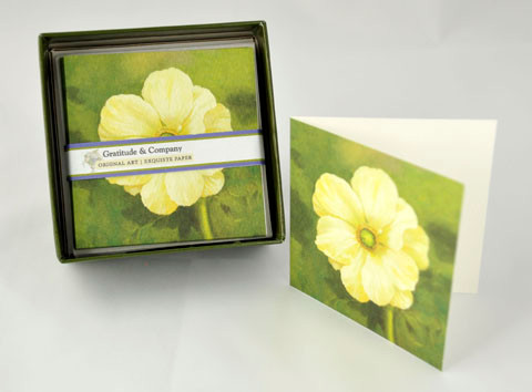 Gift Enclosure Boxed Card Set - Anemone On Green