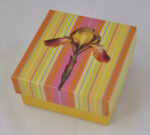 Gift Enclosure Boxed Card Set - Iris 1