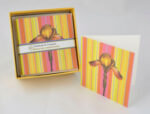 Gift Enclosure Boxed Card Set - Iris