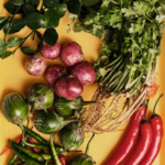 Green Curry Cubes (3)