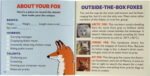 Hug A Fox Kit 3