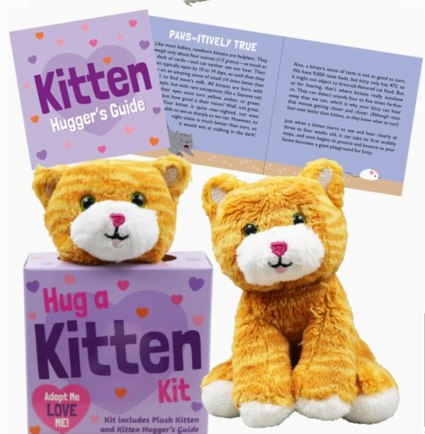 Hug A Kitten Kit 3