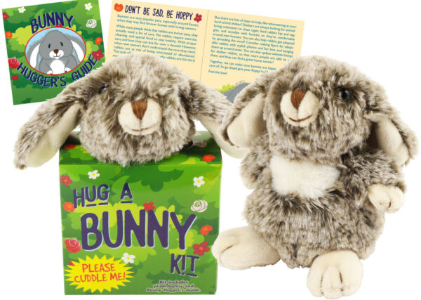Hug A Bunny Kit 2