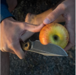 Lycosa Tactical Knife (16)