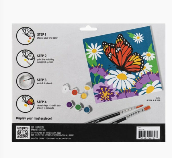 Mini Acrylic Paint-by-number Butterfly Floral 4