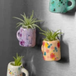Mini Mug Air Plant Magnets - Set Of 4 1