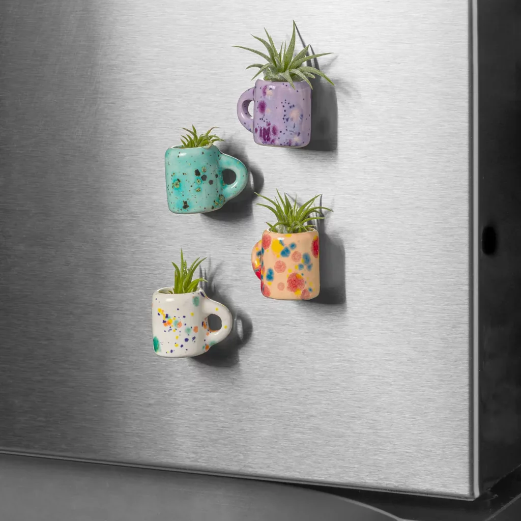 Mini Mug Air Plant Magnets - Set Of 4