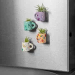 Mini Mug Air Plant Magnets - Set Of 4