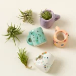 Mini Mug Air Plant Magnets - Set Of 4 2