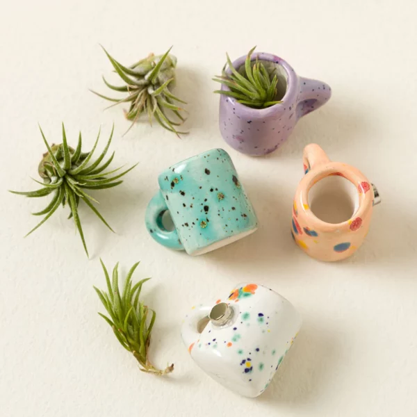 Mini Mug Air Plant Magnets - Set Of 4 2