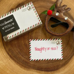 Mini Notecards - Airmail Reindeer