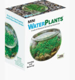Mini Water Plants Aquatic Terrarium 1
