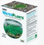 Mini Water Plants Aquatic Terrarium