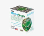 Mini Water Plants Aquatic Terrarium 2