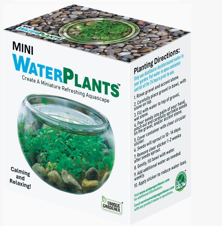 Mini Water Plants Aquatic Terrarium Mini Water Plants Aquatic Terrarium