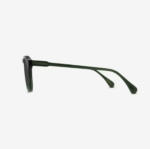 Remmy Polarized Sunglasses (2)