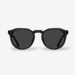 Remmy Polarized Sunglasses (6)