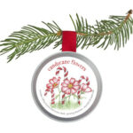 Seed Tin Ornament - Candycane Flowers