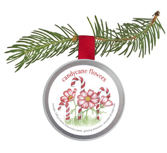 Seed Tin Ornament - Candycane Flowers