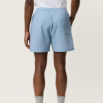 Stan Stripe Seersucker Swim Shorts 3