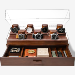 The Collector Pro Watch Display Valet (1)