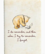Winnie-the-pooh Jotter Notebooks 5
