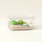 Create Your Own Tiny Turtle Terrarium 1