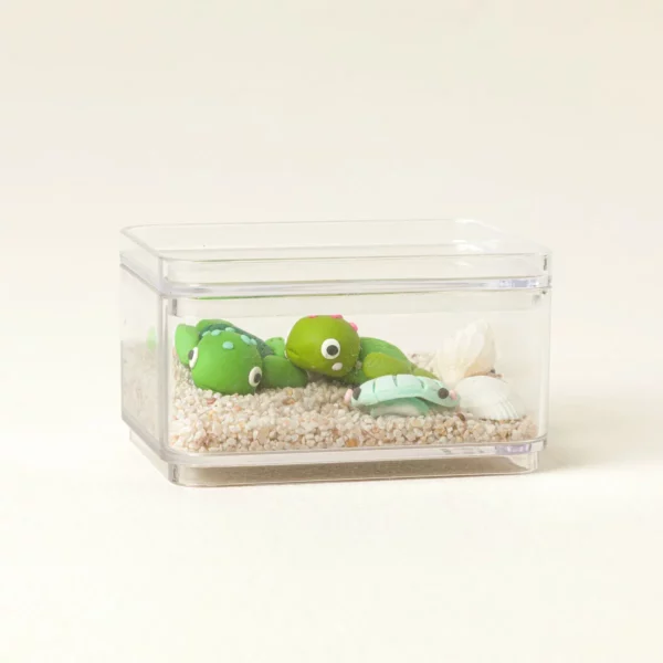 Create Your Own Tiny Turtle Terrarium 1