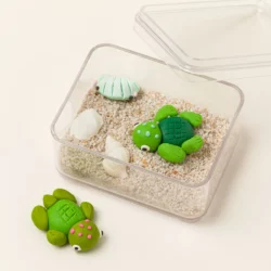 Create Your Own Tiny Turtle Terrarium
