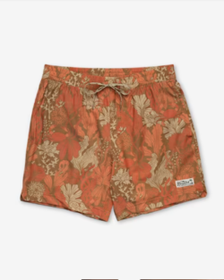 Deep Set Boardshorts (1)
