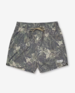 Deep Set Boardshorts (9)