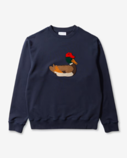 Duck Hunt (1)