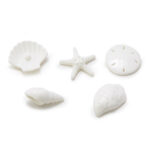 East Of India By The Sea Shell Matchbox 1