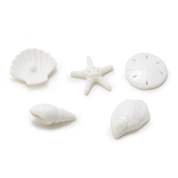 East Of India By The Sea Shell Matchbox 1