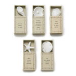 East Of India By The Sea Shell Matchbox
