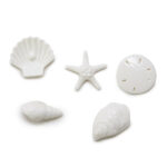 East Of India By The Sea Shell Matchbox 2