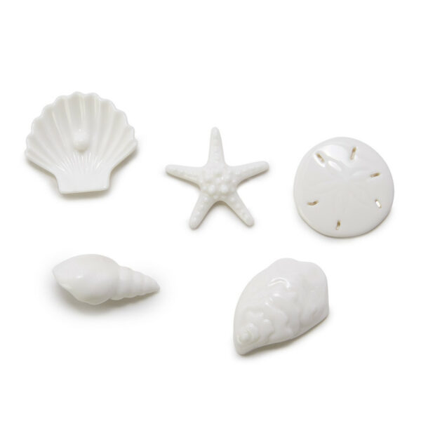 East Of India By The Sea Shell Matchbox 2