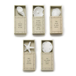 East Of India By The Sea Shell Matchbox