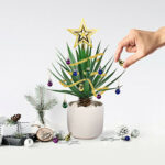 Festive Plant Baubles