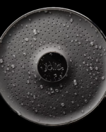 Filtered Showerhead (11)