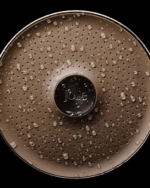 Filtered Showerhead (2)