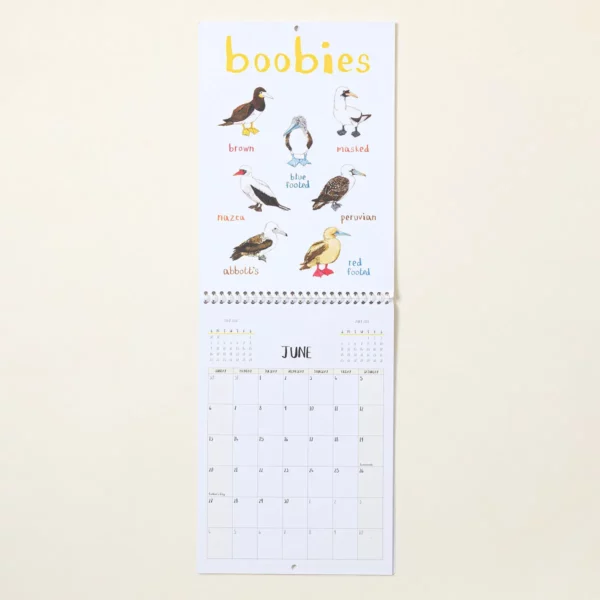For The Pun Of It Cheeky Wall Calendar 1