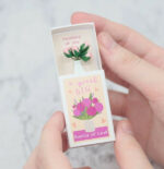 Great Big Bunch Of Love Matchbox 1