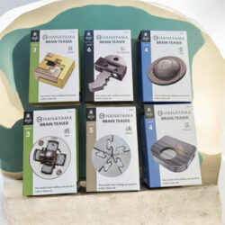 Hanayama Metal Brain Teaser Puzzle