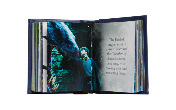Harry Potter The Dark Arts Tiny Book 4