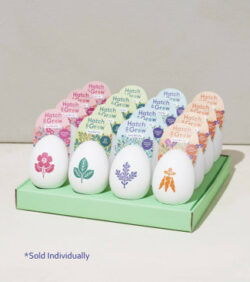 Hatch & Grow Seed Egg