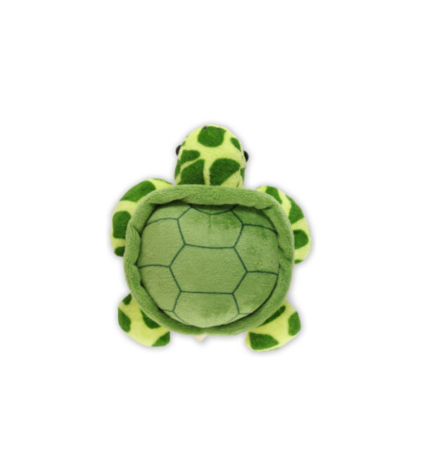 Hug A Sea Turtle Kit 5